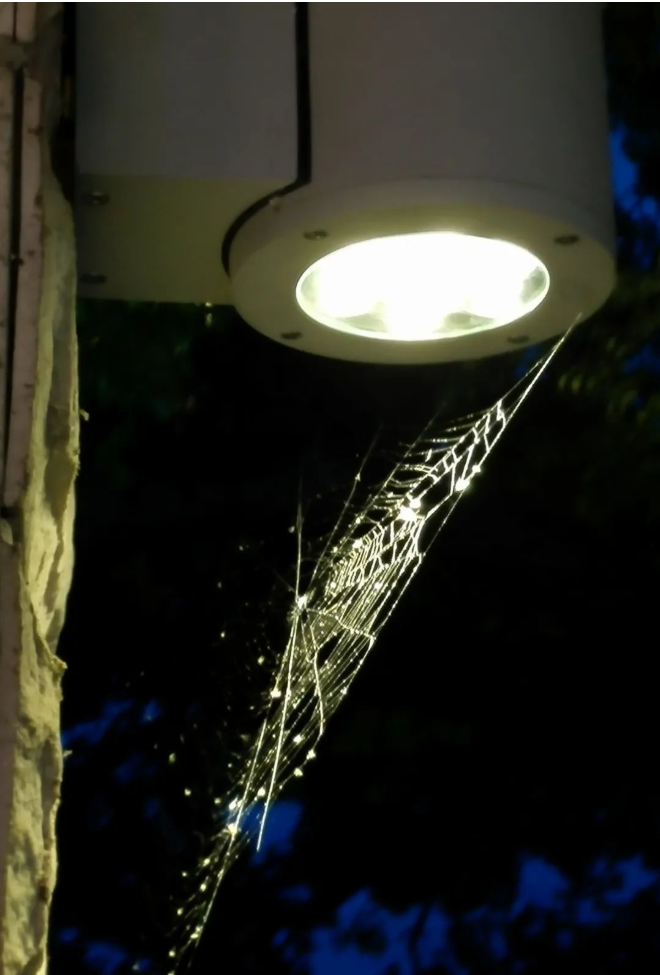 Outdoor landscape lighting fixtures should also be cleaned and maintained (1)